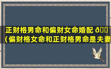 正财格男命和偏财女命婚配 🐴 （偏财格女命和正财格男命是夫妻会怎么样）